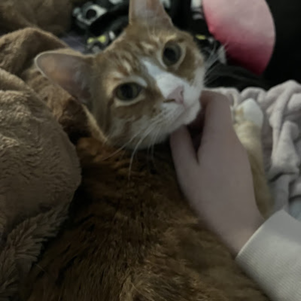 Meet your Posher, Mari